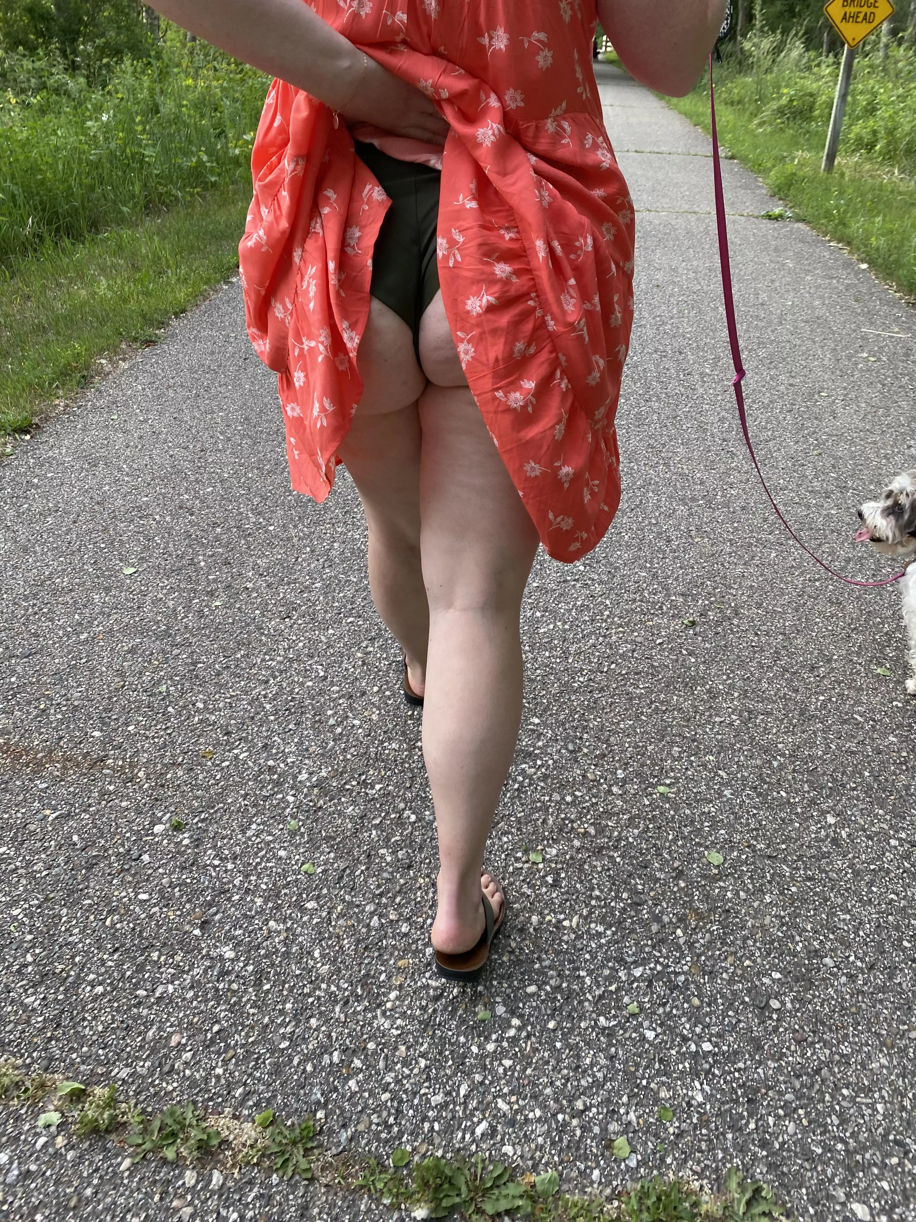 Any lady’s want to go for a walk posted by Terrible-Gazelle-258