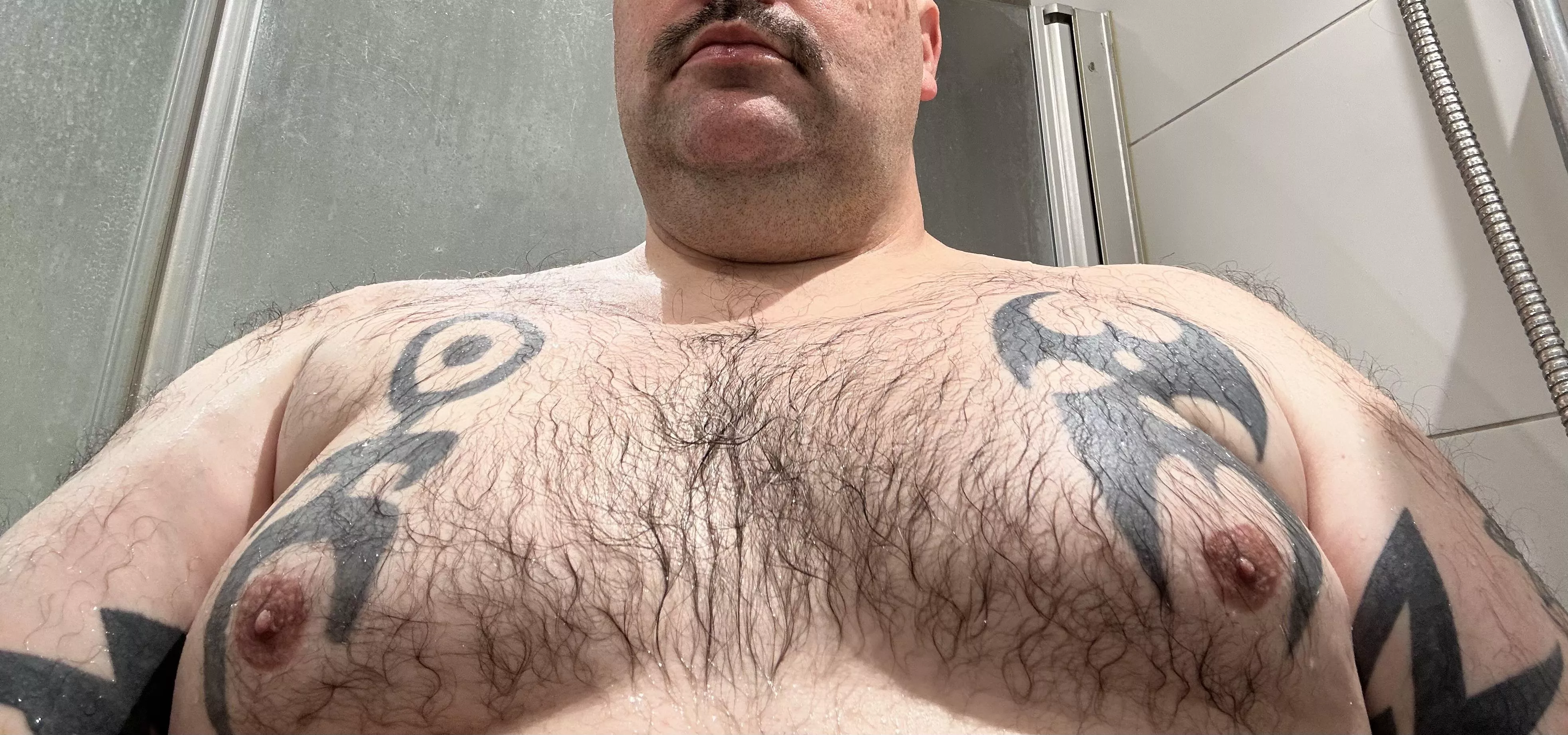 Do you like this? posted by Silver-Library-2791