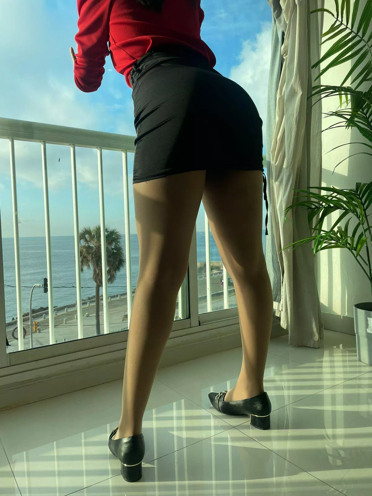 Enjoying the view  posted by Confident-Emu4587