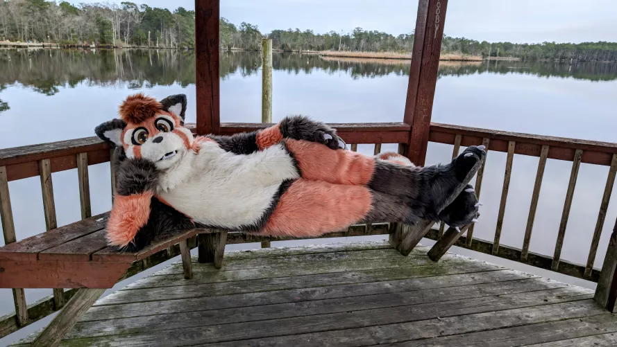 [Fursuit Friday] Heyyyyyyyyyyyyyy by Mozuliki