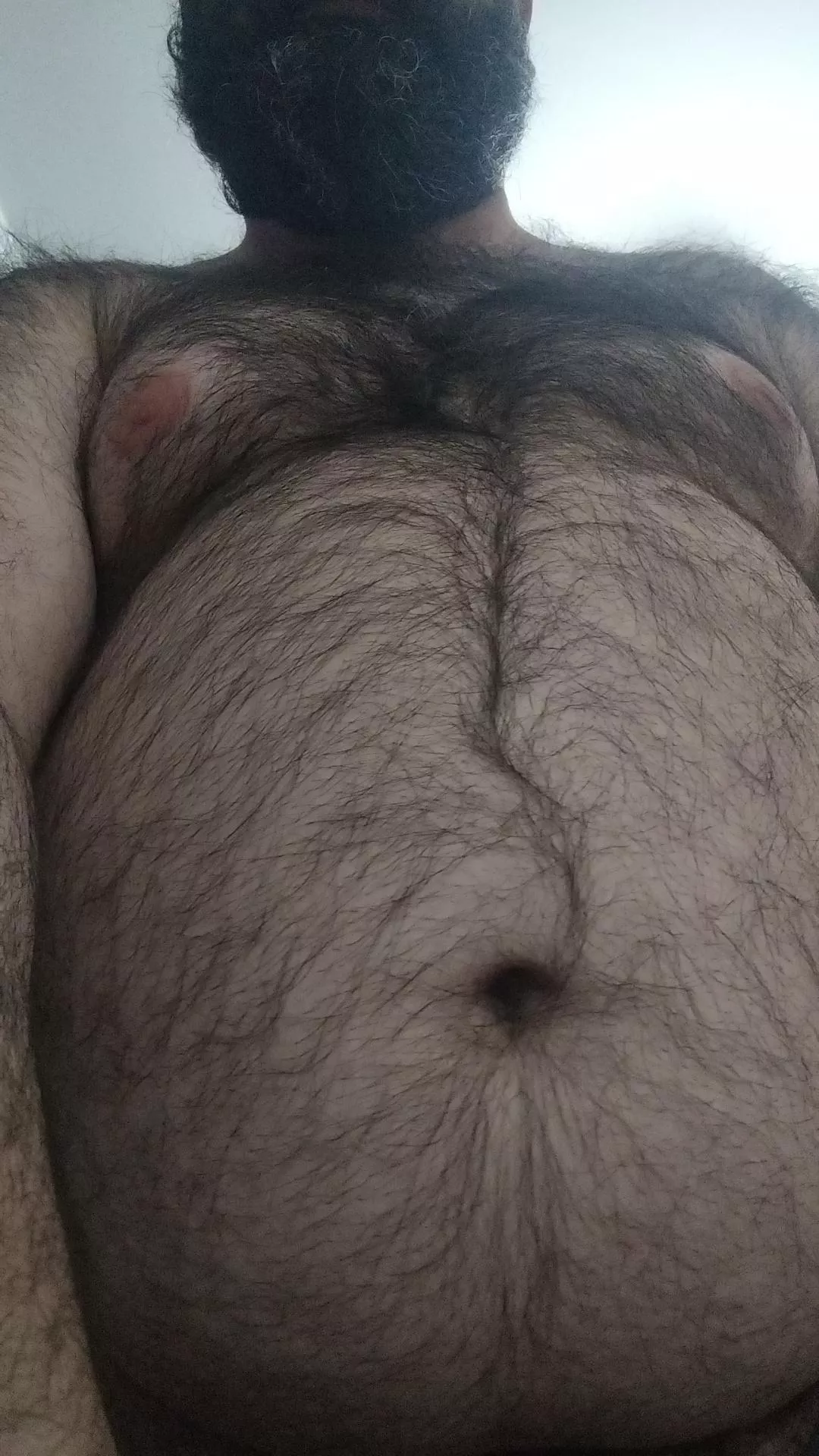 Hairy enough?  posted by thebeard-bear