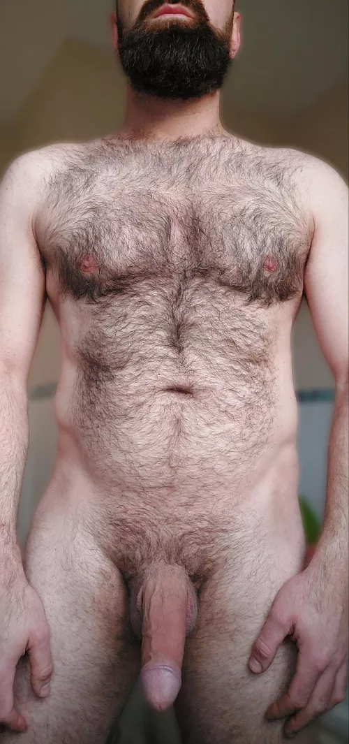 Haven't trimmed my chest in a month now and I'm really enjoying how it looks. Except for the odd grey hair 🤷🏻‍♂️ by Missionarymonk