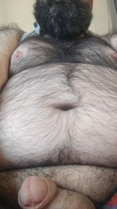 Hello!  by thebeard-bear