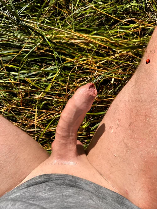 I'm 100%, organic, all natural Dad dick by Robinhood_69