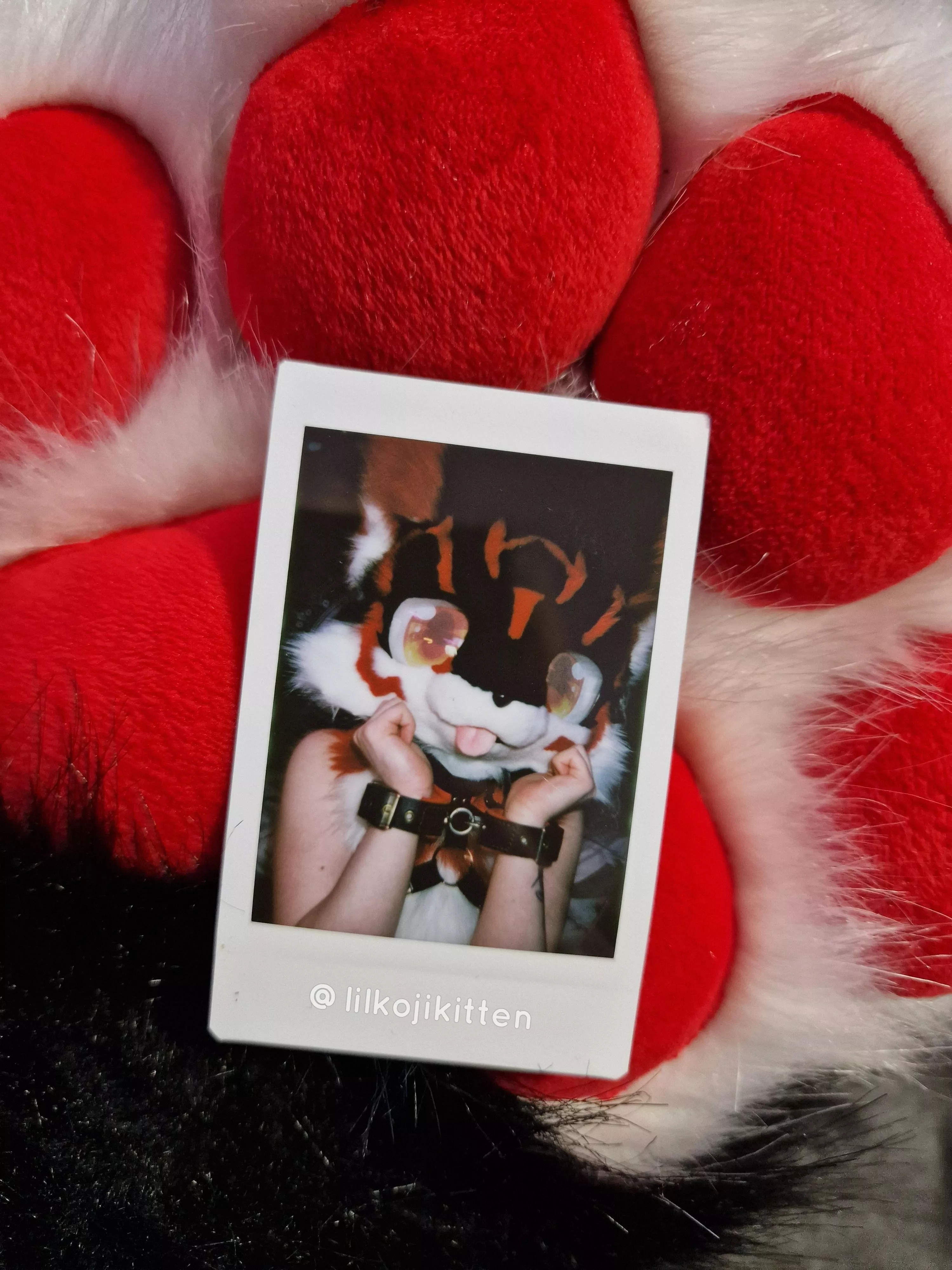 I've been really enjoying taking nude and lewd Polaroids recently ♡ posted by lilpixiekitten