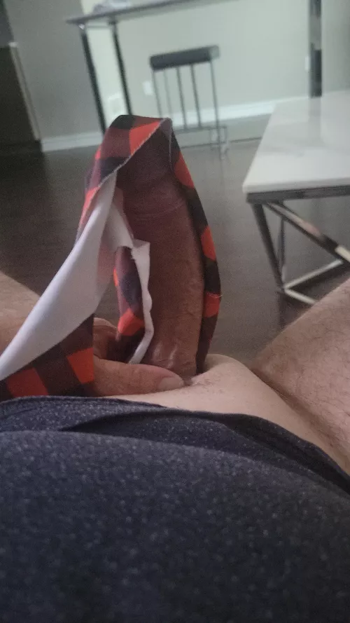 Love her panties  by Pretend_Trip_3871