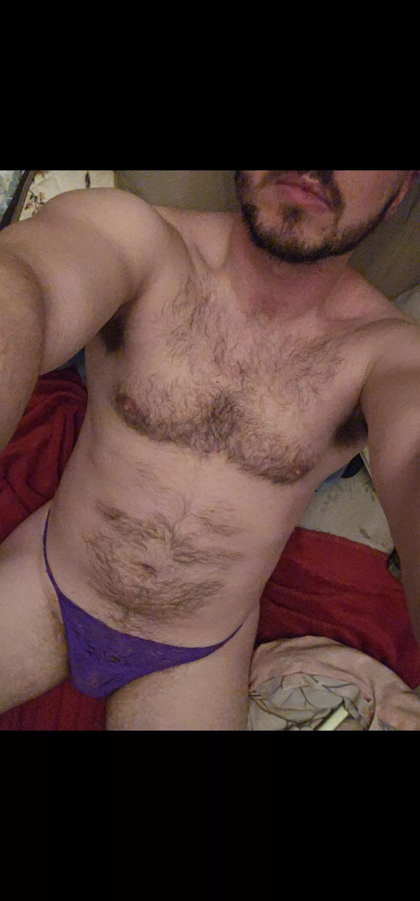 My girlfriends purple panties  posted by daly2018