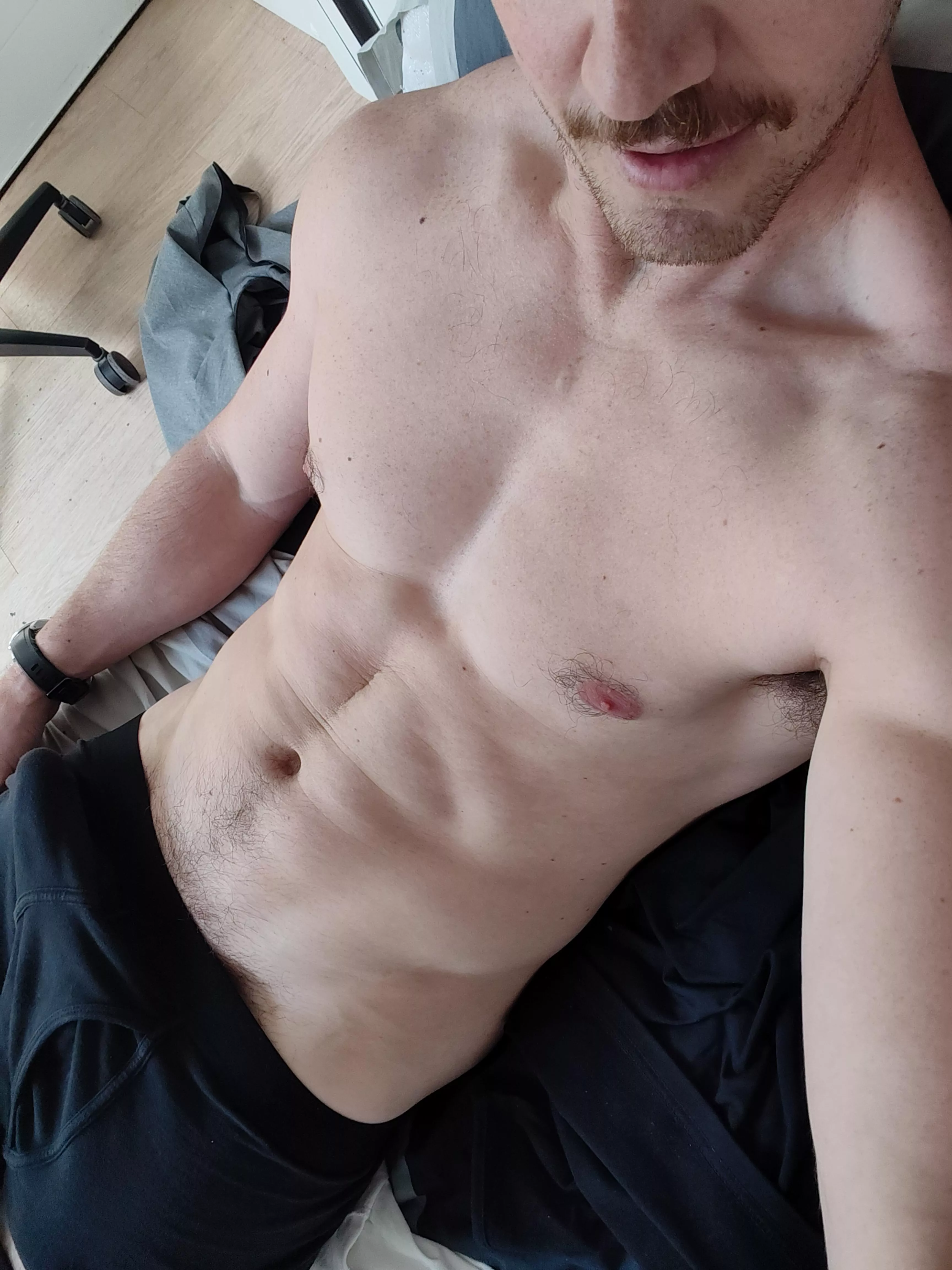 Night owl or early bird? posted by regulardadenergy