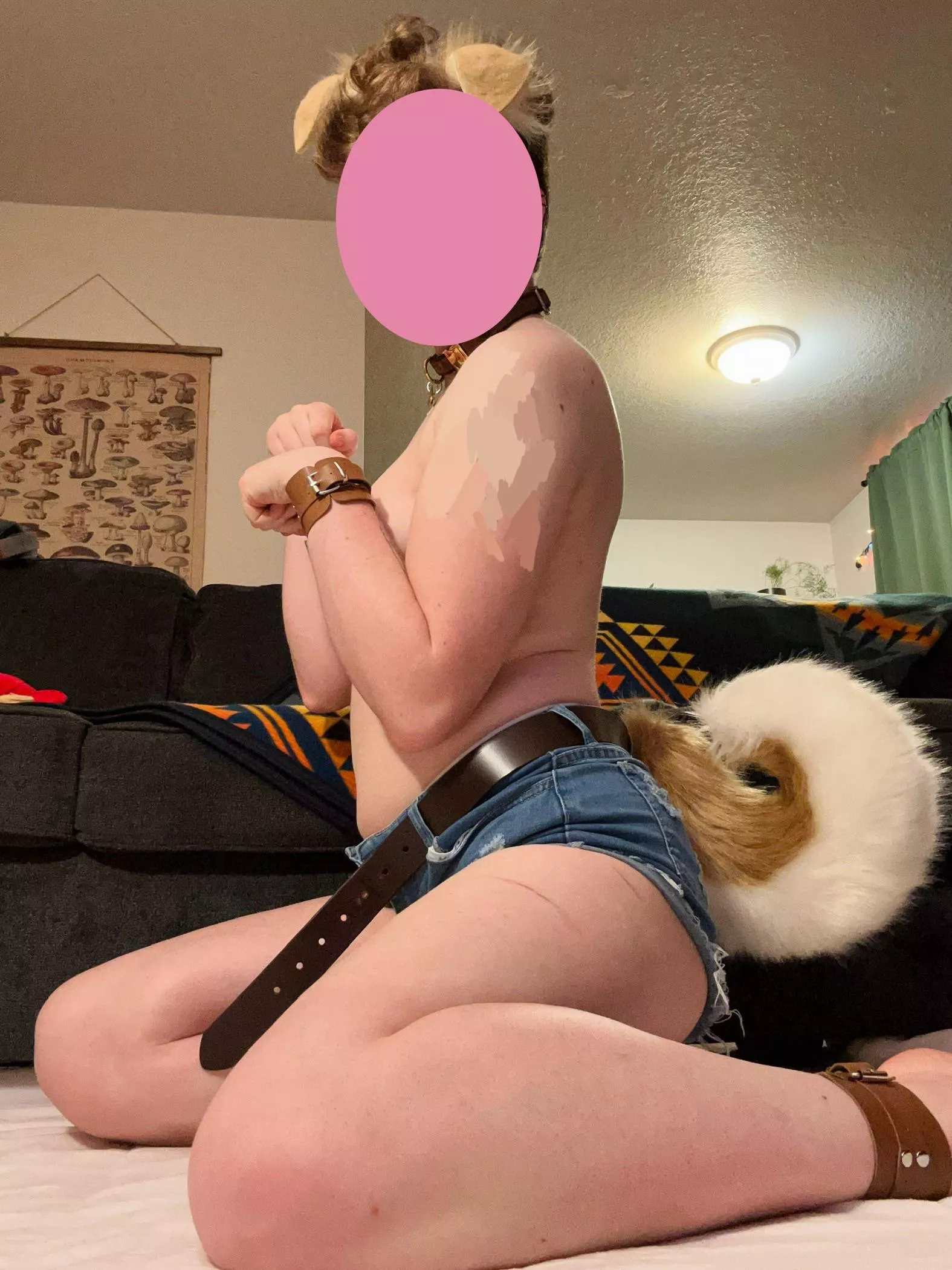 Obedient dog posted by elfprince_ftm