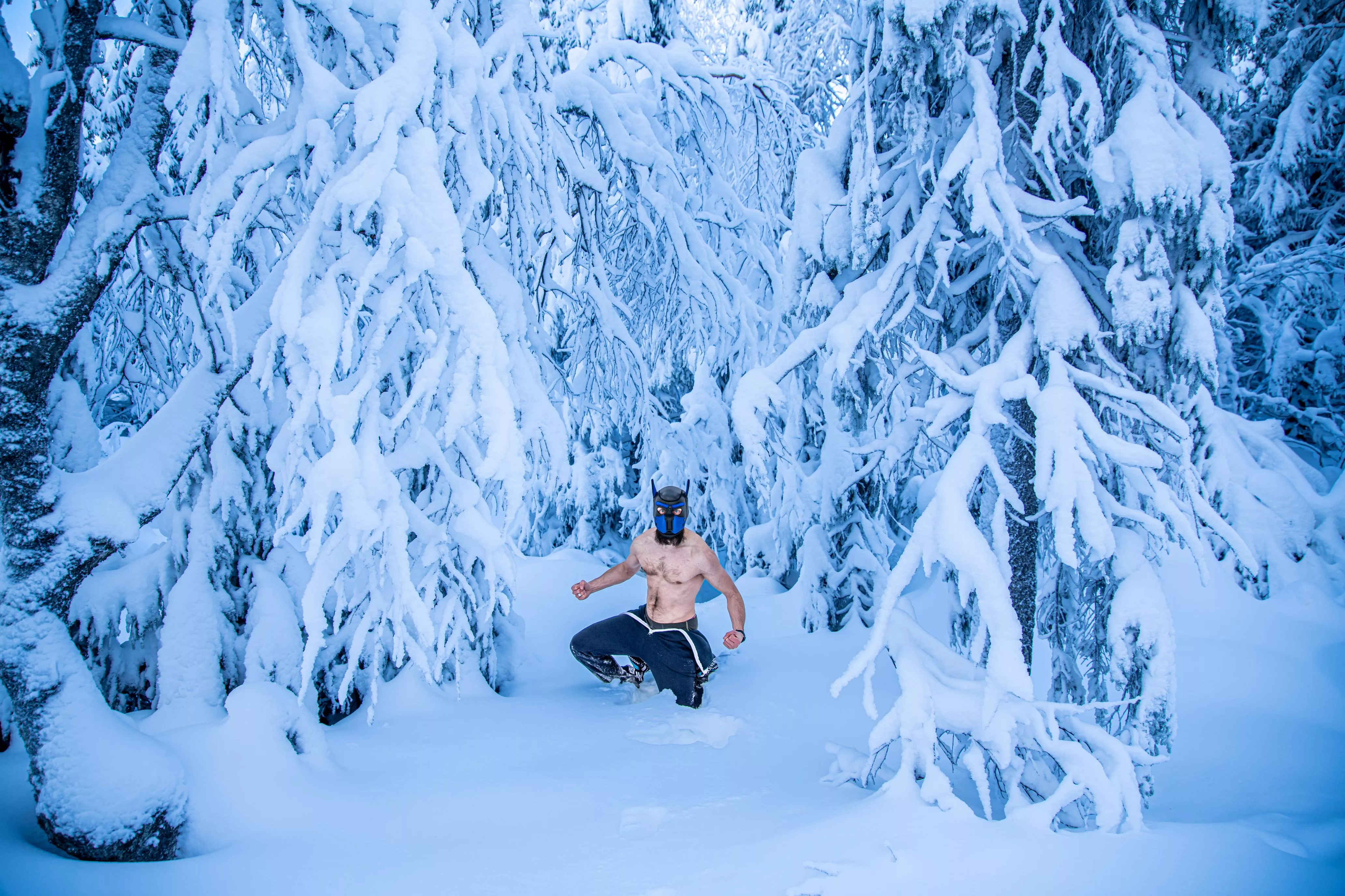 Puppy playing in a snow 💪🏻🐶 posted by BeardWoof1337