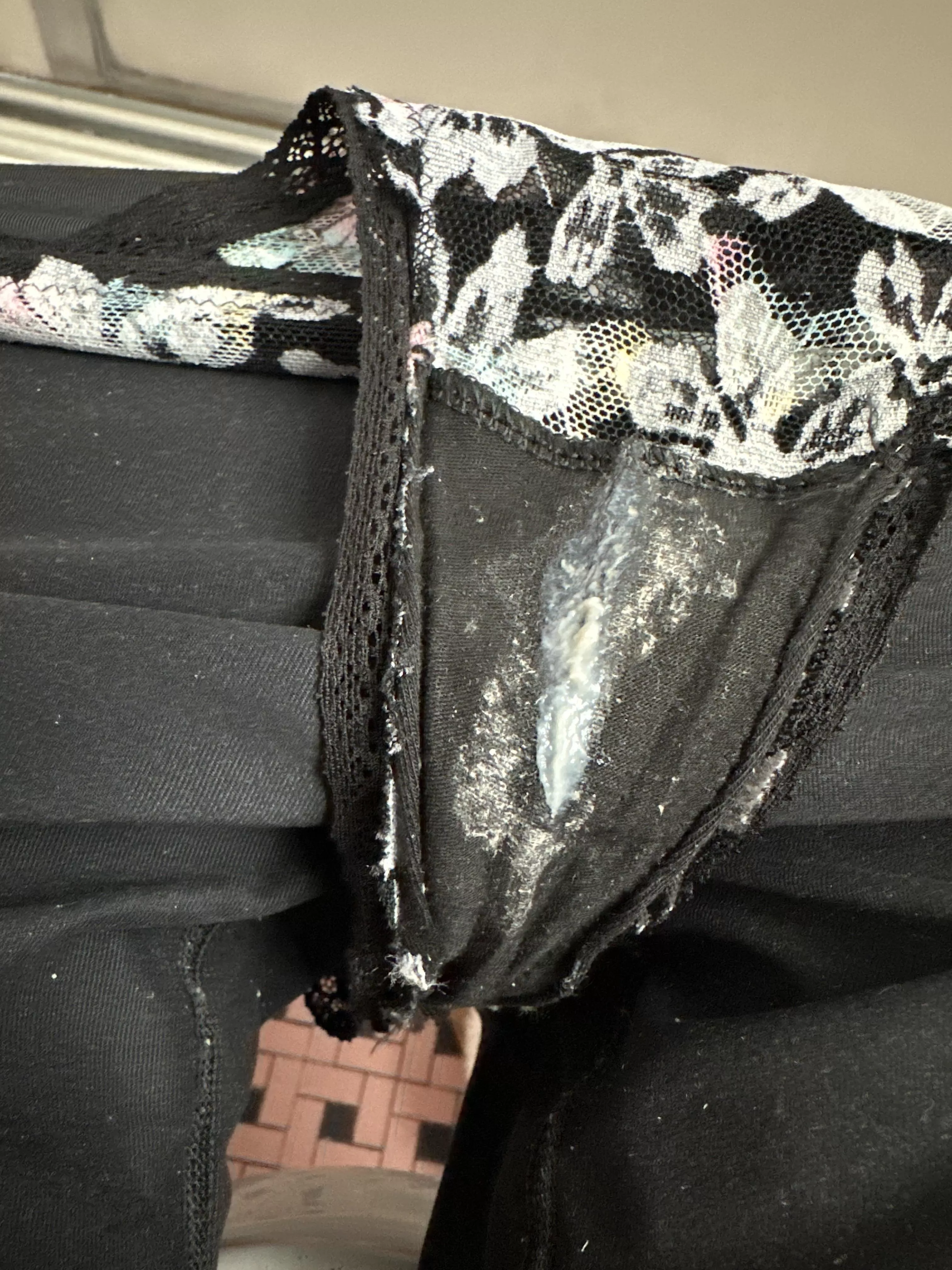 Sniffing or licking that fresh cream?  posted by dreamy_dutchess