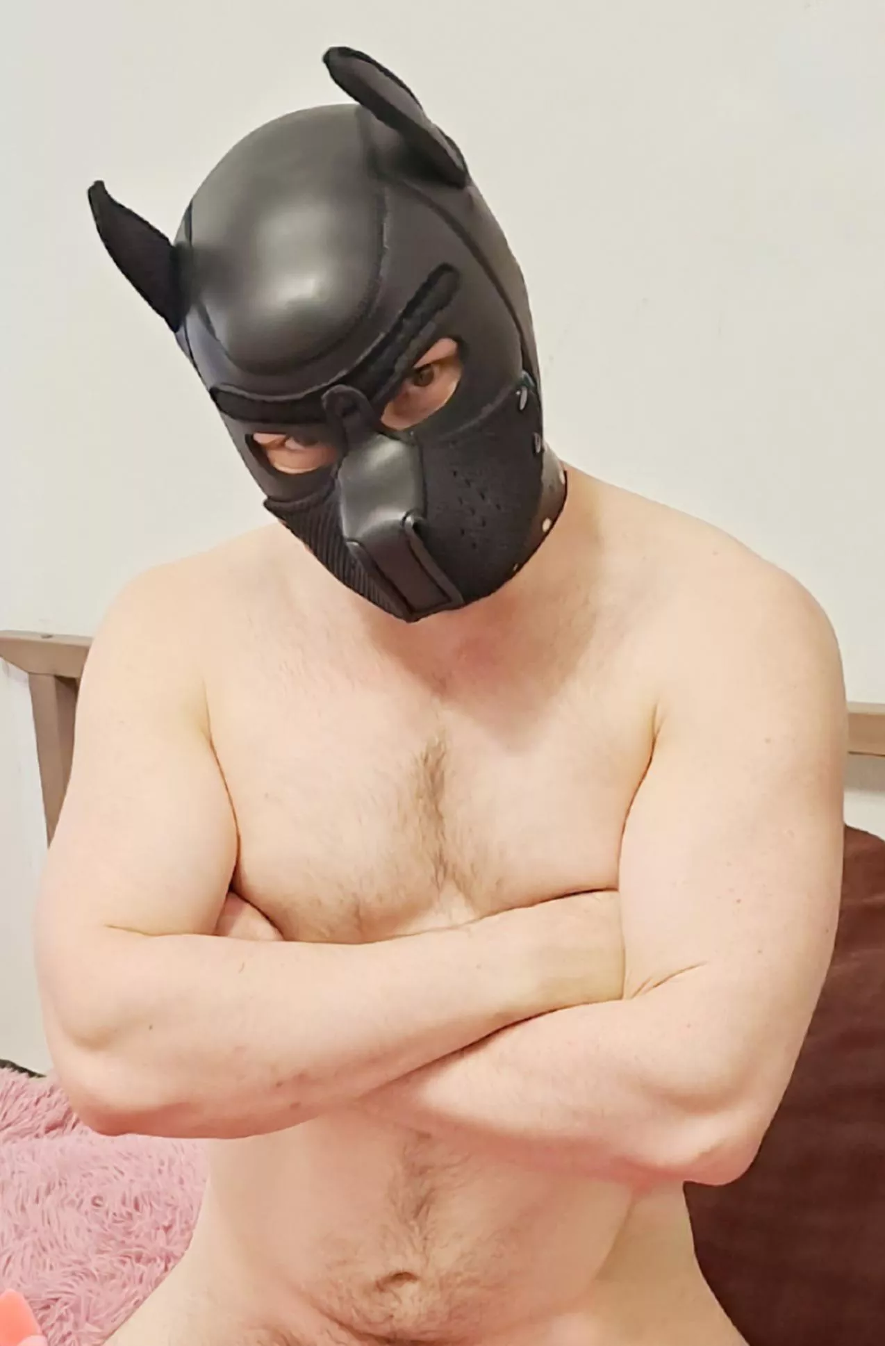 So you want to wrestle😈  posted by Belazz