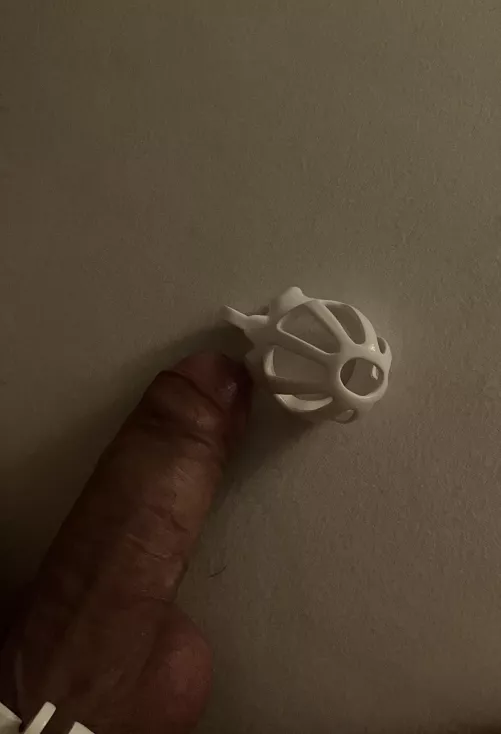 The moment before …. by Due-Needleworker9067