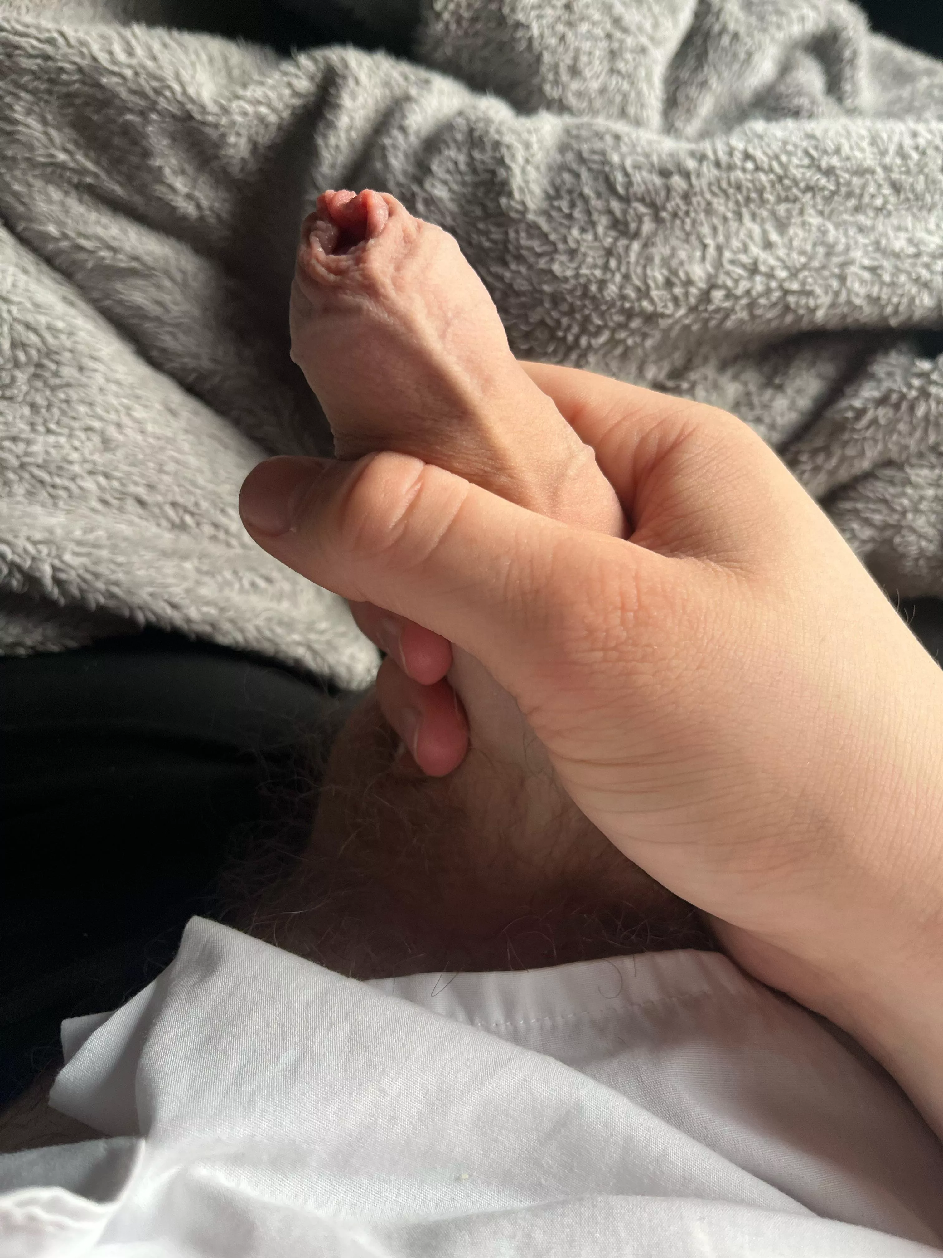 Thoughts  posted by Sparkey5252