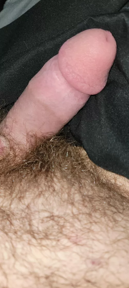 Want to chat [21M] by Spare_Frosting_3326