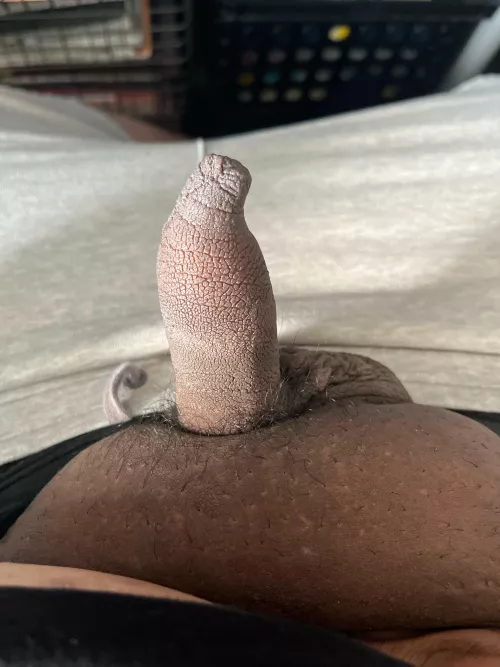 who’s gona. come suck me up by Diligent-Pressure-74