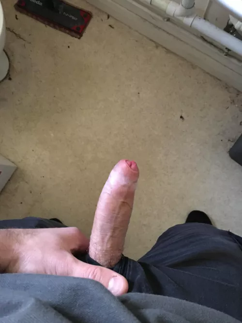 Work toilets having some fun by Bobbiesboobie