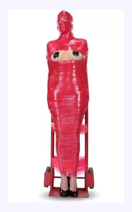 Wrapped and ready for cispatch by Savannah_Logan8400