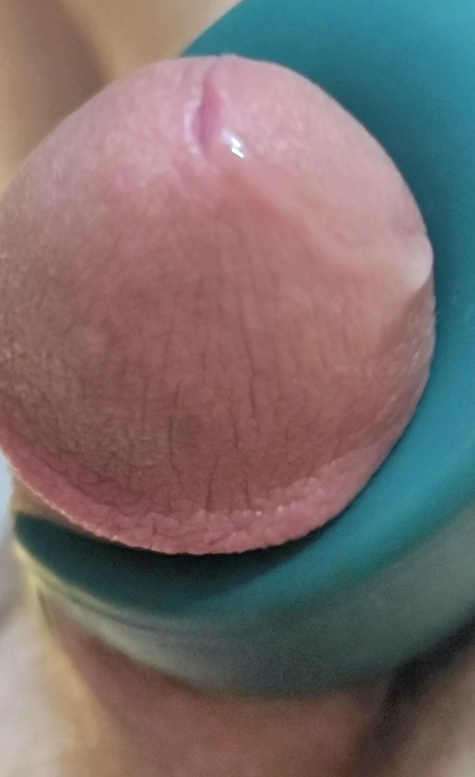 Your vibes are appreciated! posted by quatrocincoseis789