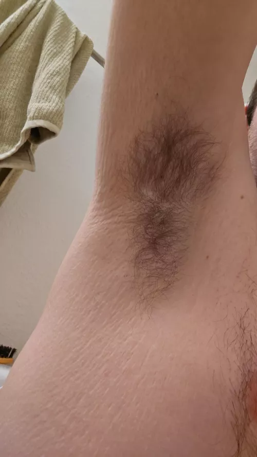 20 m looking for anyone to talk about my musky pits 👅 by hairyarmpitlove