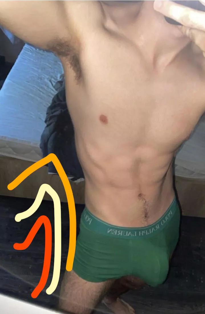 23 hung verbal jock looking for kinky fun @james_sub2024 face++ posted by Remarkable_Ice3207