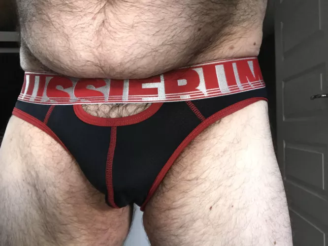 Bear looking for others for briefs fun! U.K. based by Briefs999
