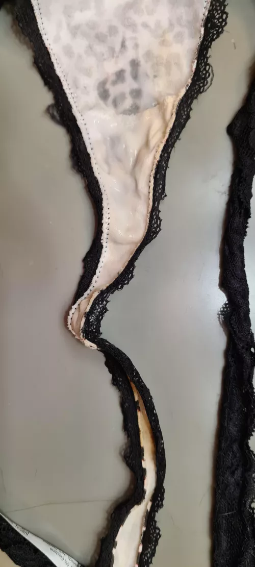 Busy day. Skids and grool. by bbwnicoleann