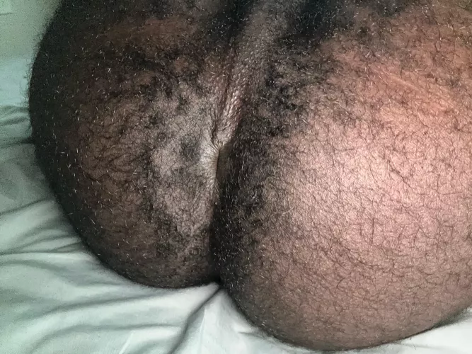 Can I sit this sweet musky hole on your nose bro? by Last_Signal_8687