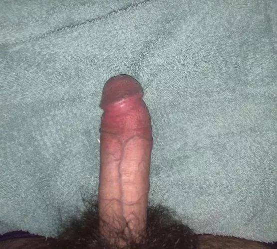 Do y’all like mine hairy cock. by Sea-Captain-6078