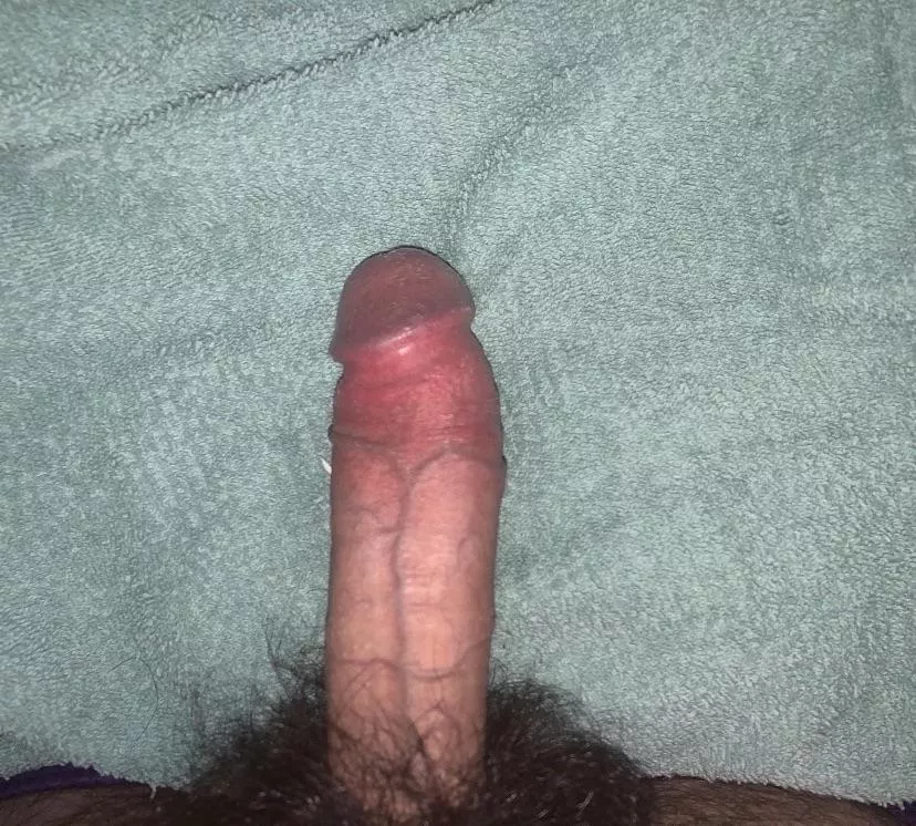 Do y’all like mine hairy cock. posted by Sea-Captain-6078