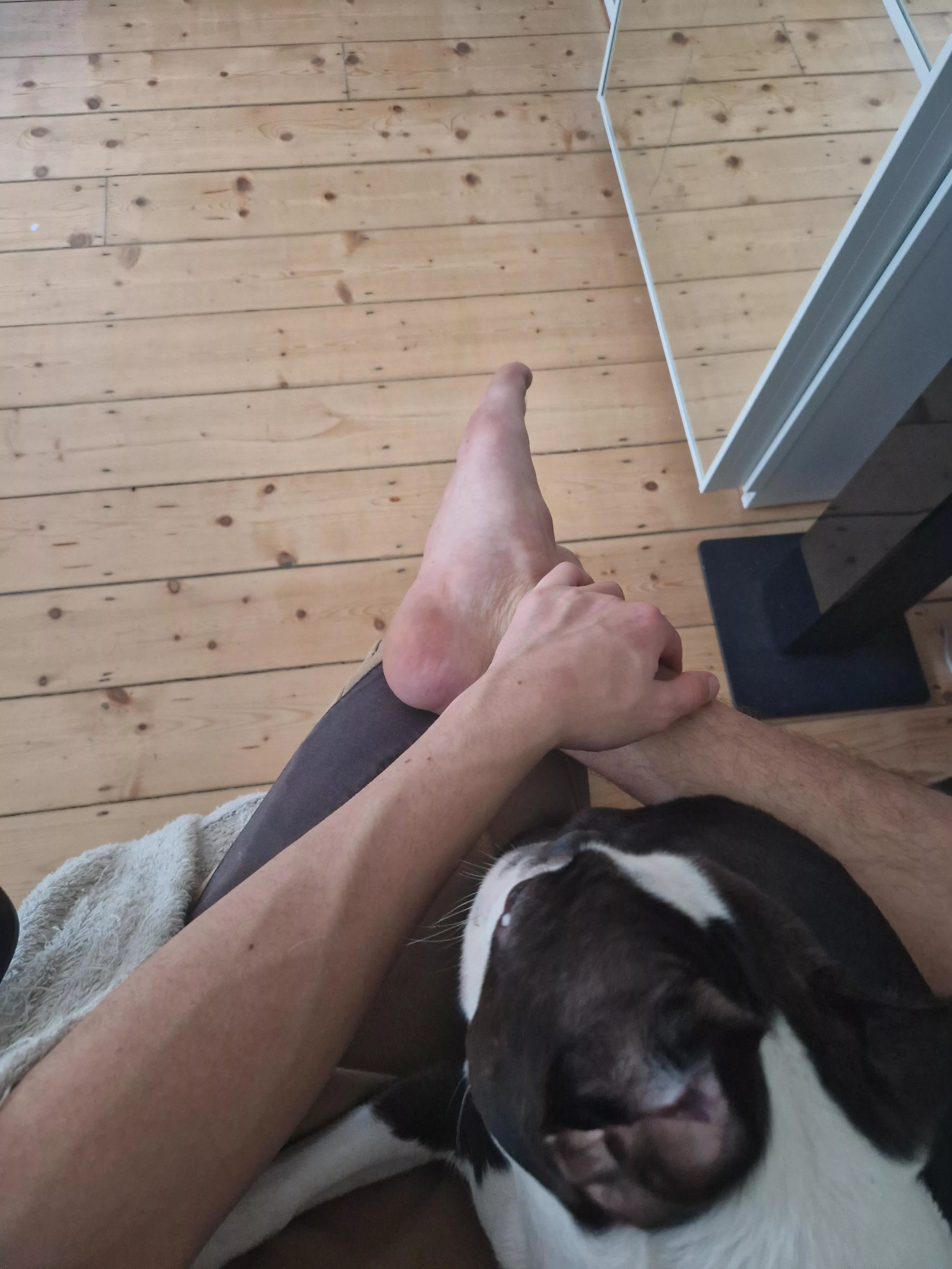 Doggo posted by LeftHurting