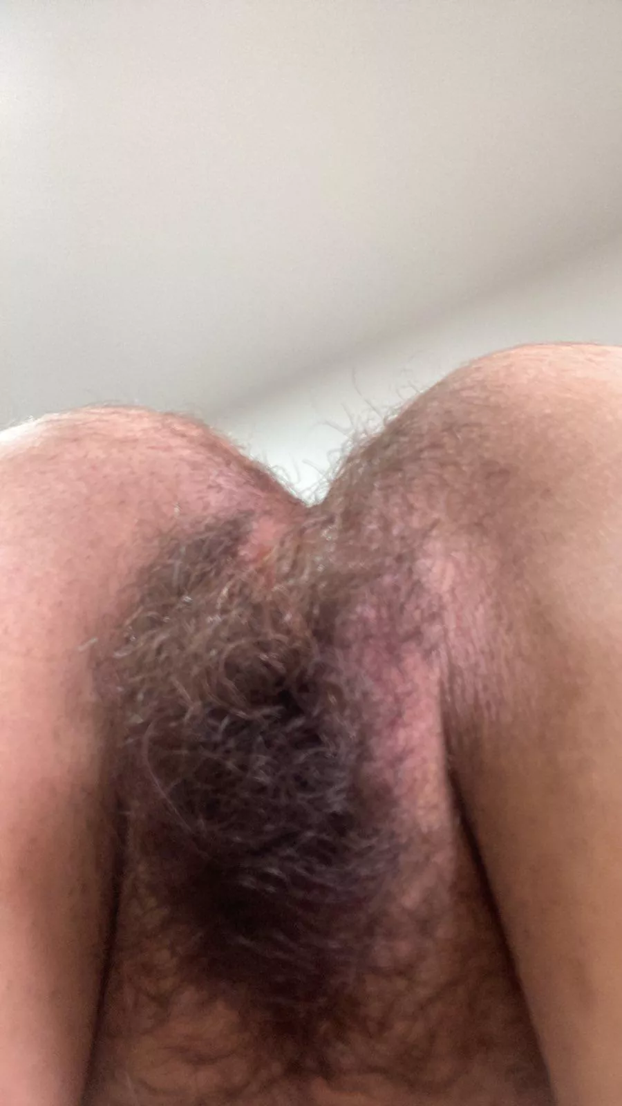 Eat my [h]airy holes posted by lickedyslit