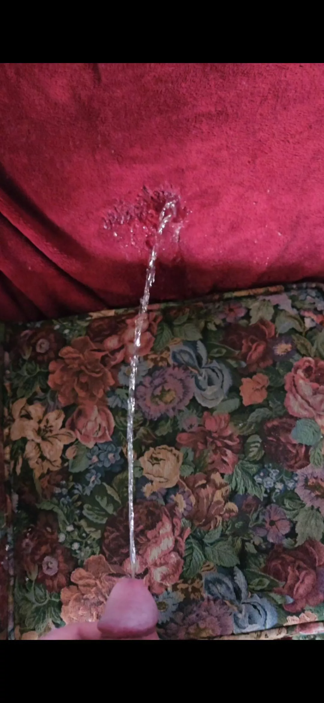 Friends couch pee posted by Deathmaster509