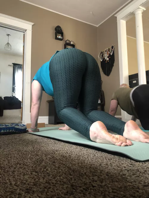 Hovering cat!! by PLANTSN0TPE0PLE