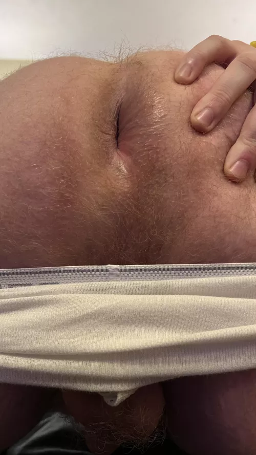 I sometimes forget just how hairy my ass is it's hard to see but it's on full display here by randytandy93