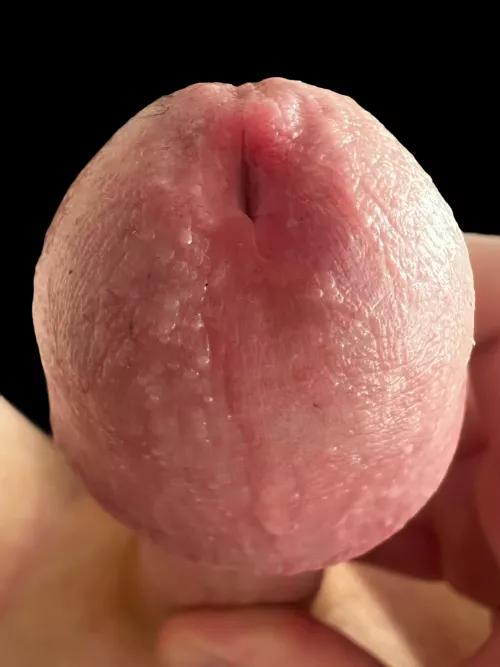 leaky by NoAbbreviations577