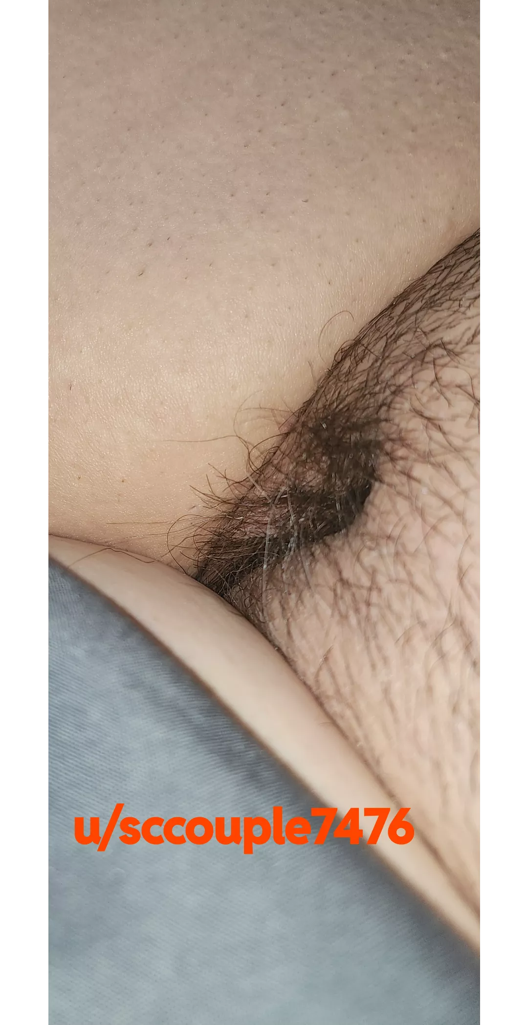 Letting it grow!! posted by sccouple7476