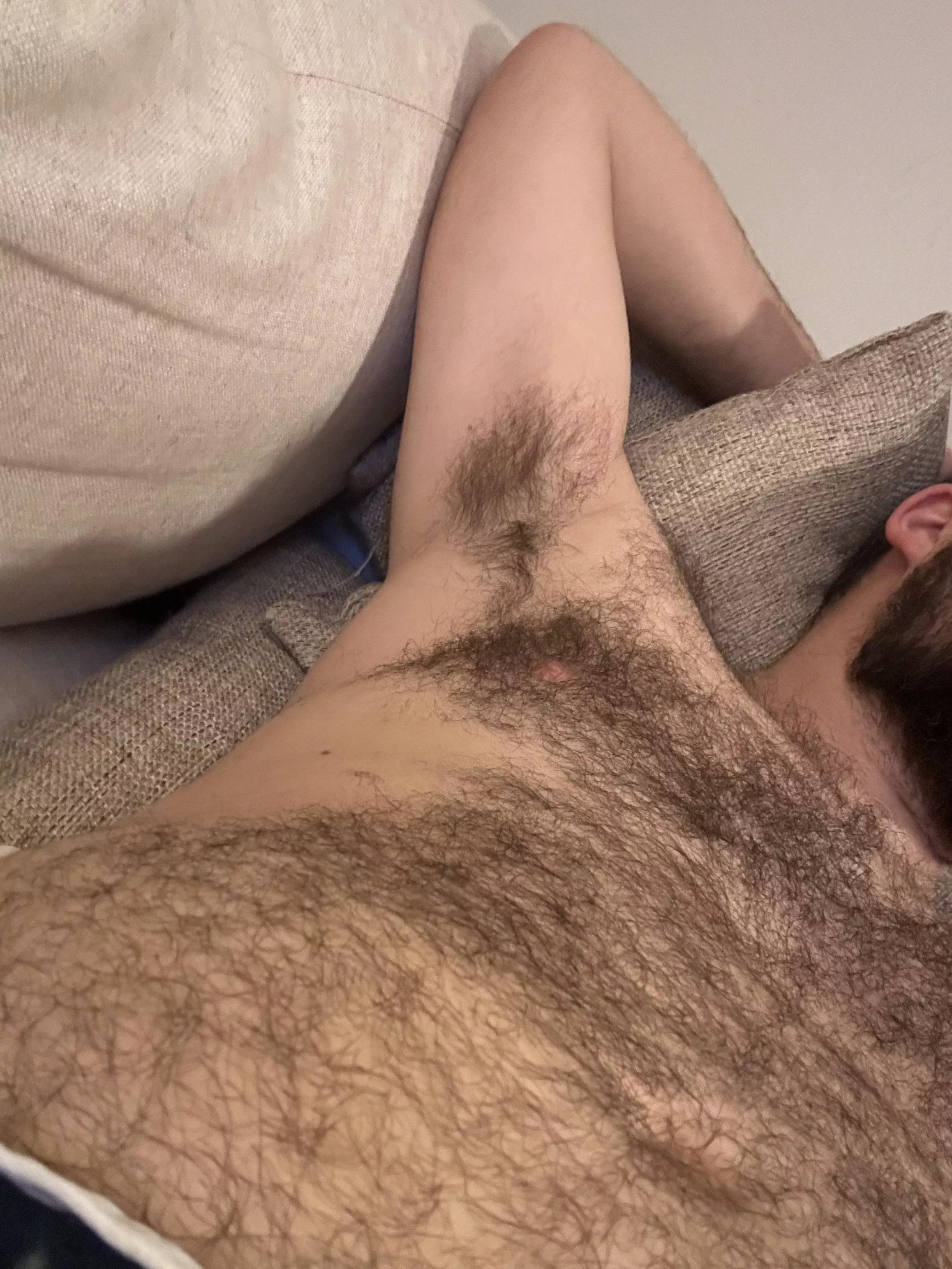 Nuzzle time?  posted by hairysoutherner