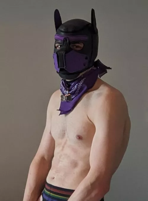 Old account got deleted, Pup saying hello again 👋🐶 by PupChiro