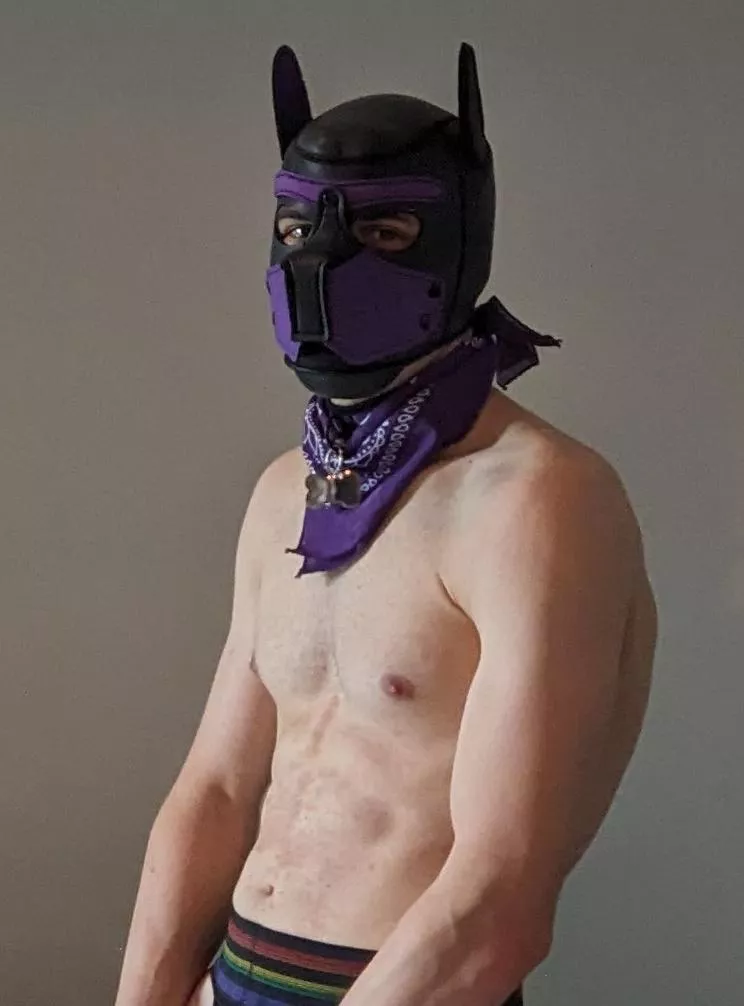 Old account got deleted, Pup saying hello again 👋🐶 posted by PupChiro