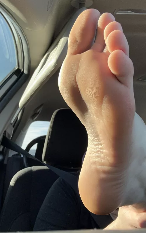 Sun kissed by selenasnow00