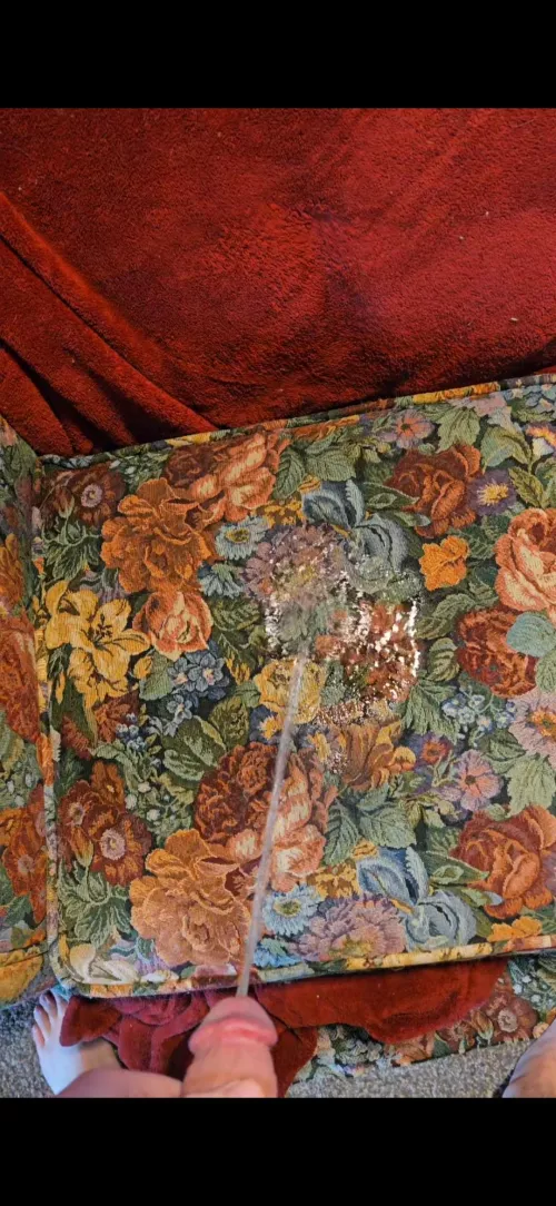 The 2nd time I pissed on the couch by Deathmaster509