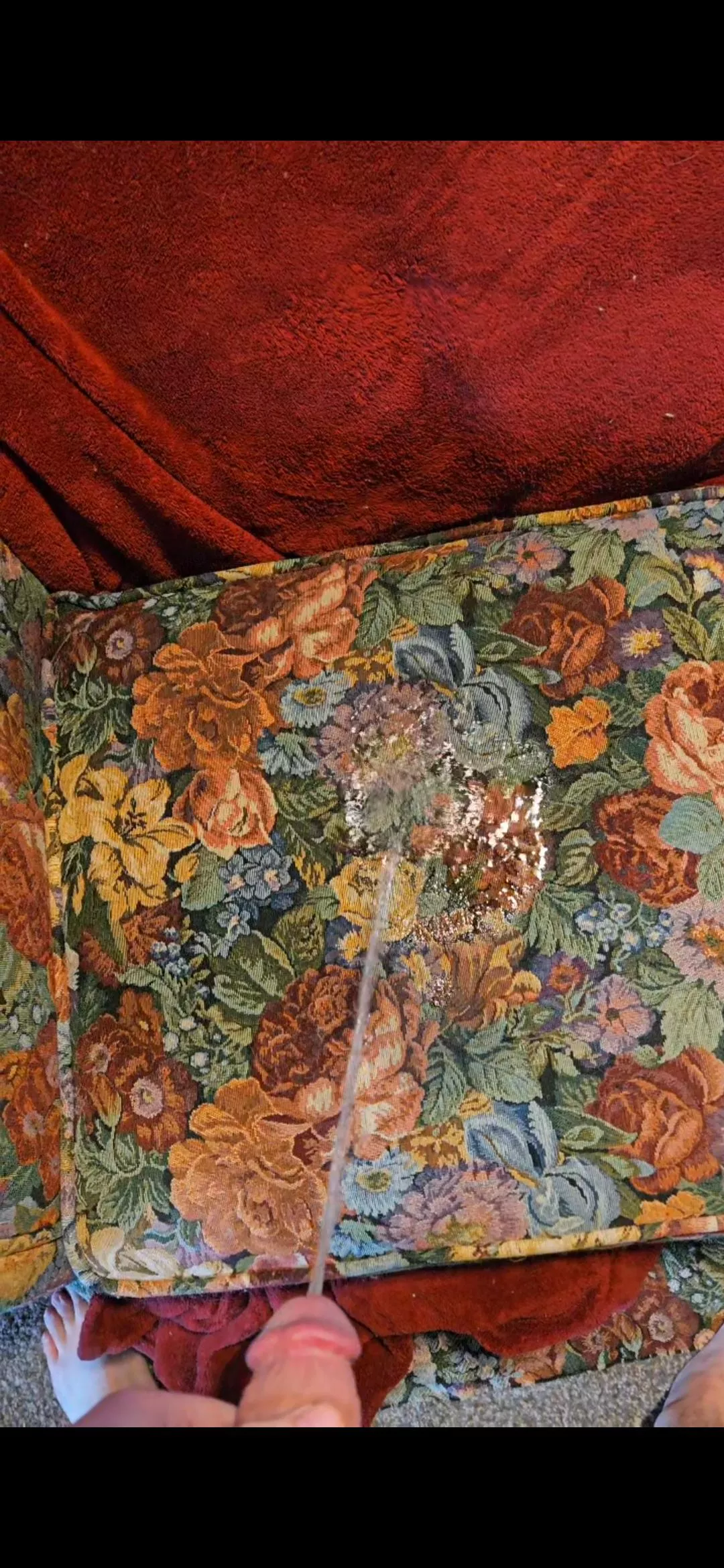 The 2nd time I pissed on the couch posted by Deathmaster509