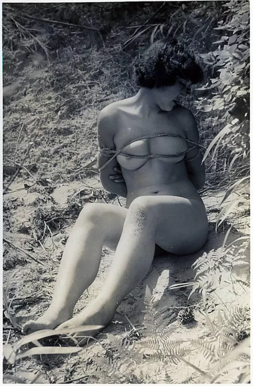 Vintage woodland fun by Mundane-Employer-719