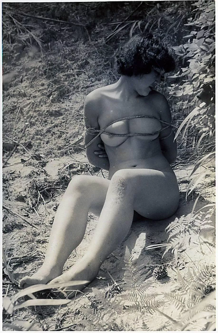 Vintage woodland fun posted by Mundane-Employer-719