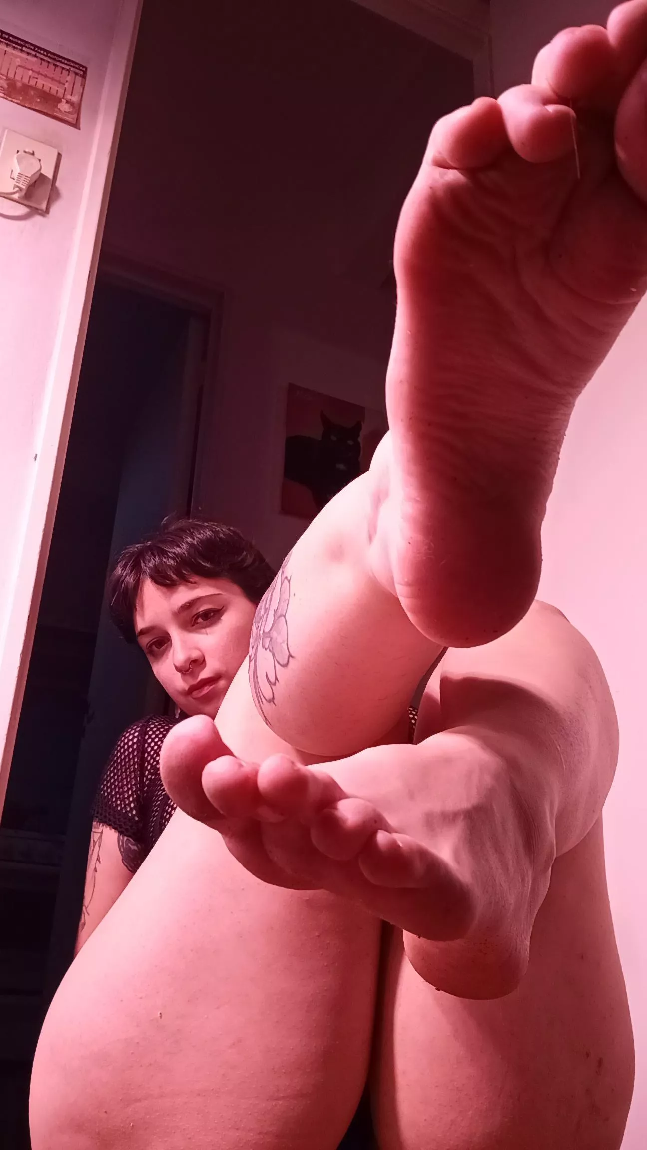 Where do you want them? Oc  posted by queenscorpiaa