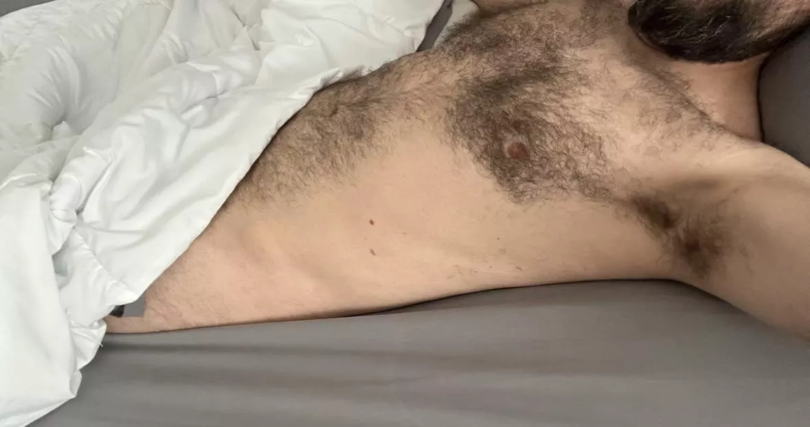 Who would like to run their fingers through my hair?  posted by hairysoutherner