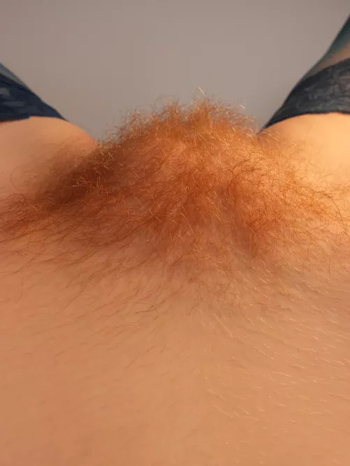Being hairy always means being sexy 😏 by RedWildcatx