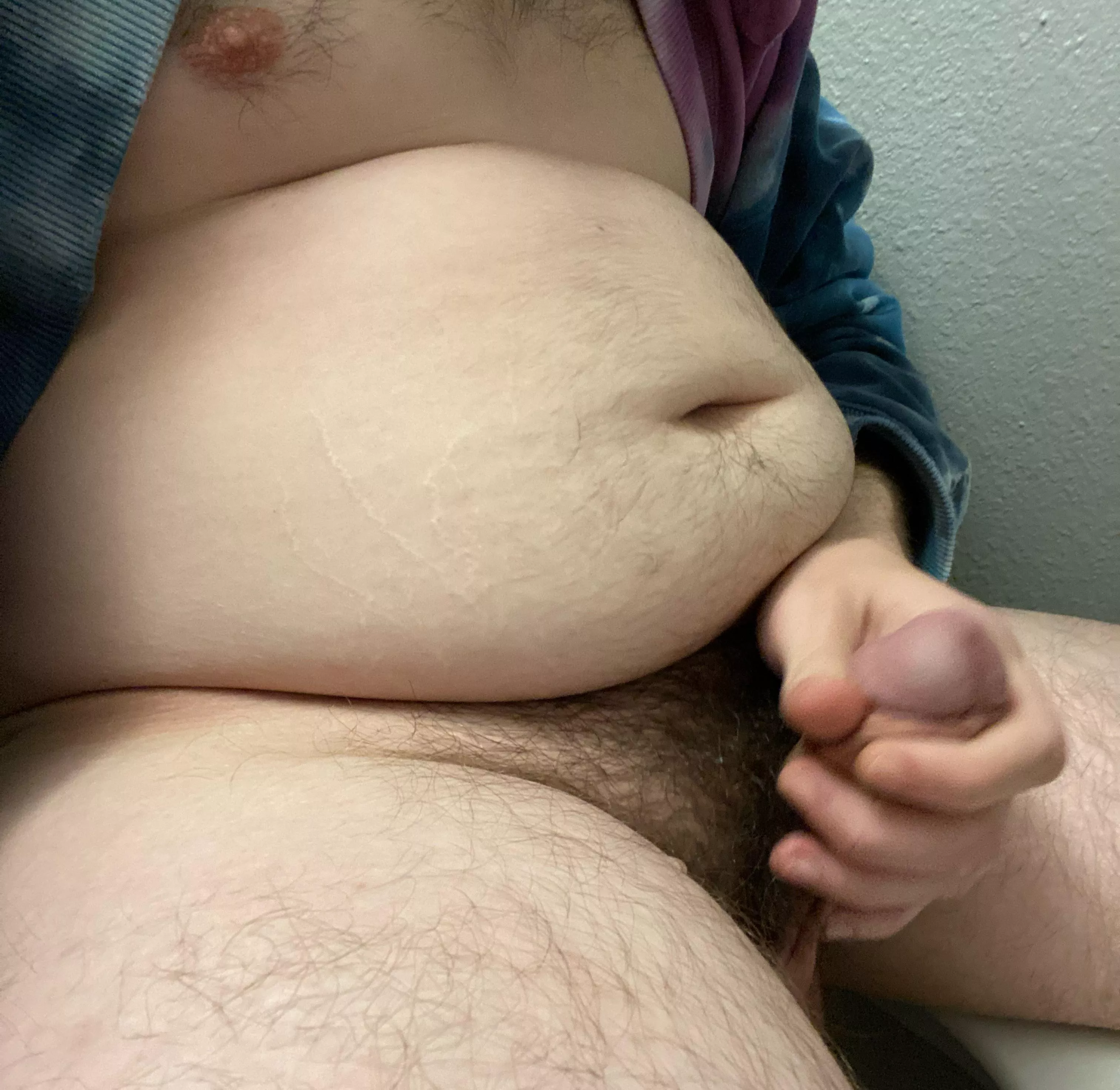 Fatass pig posted by BeerGutGainer