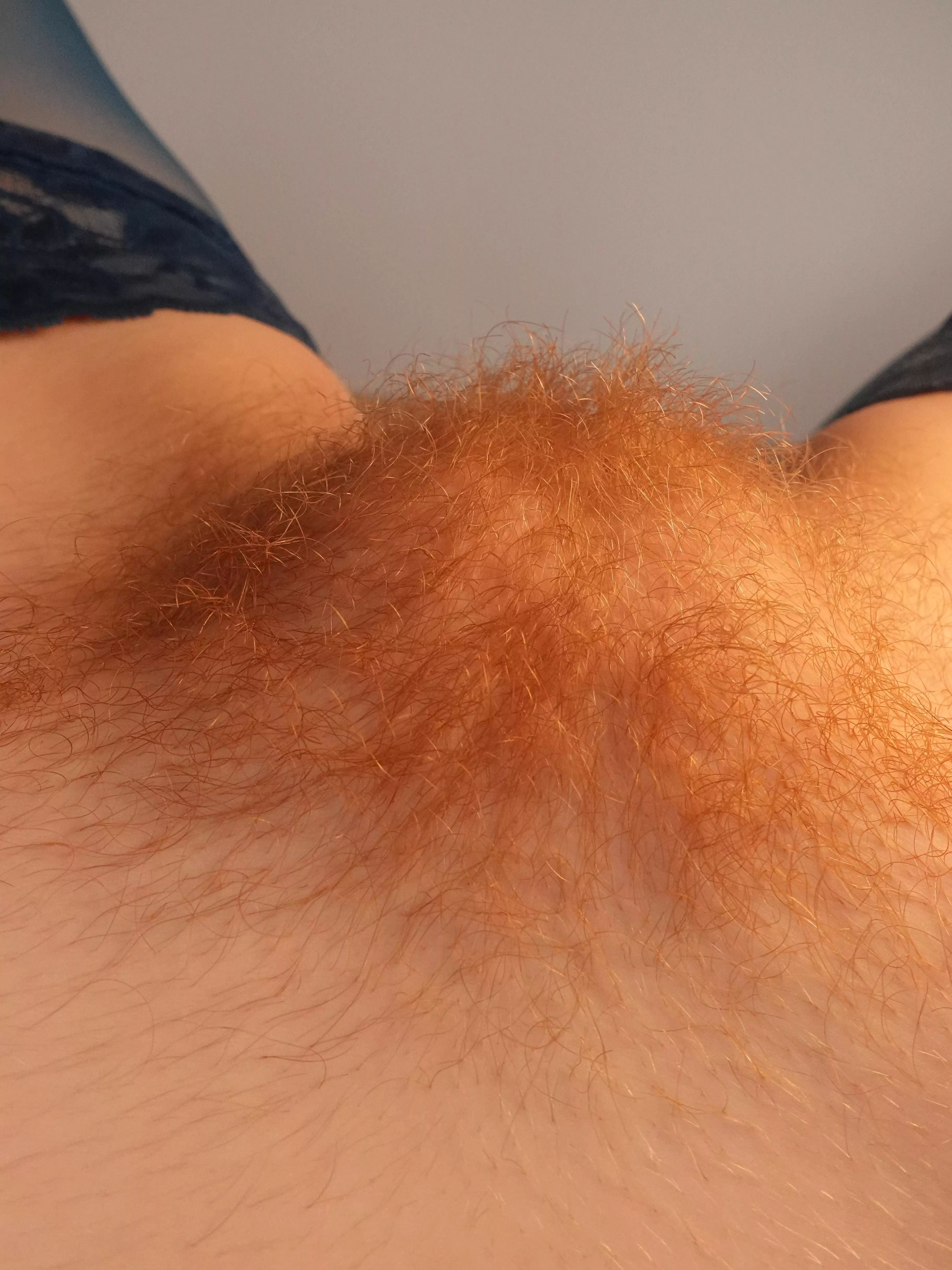 The right amount of hair 😏 posted by RedWildcatx